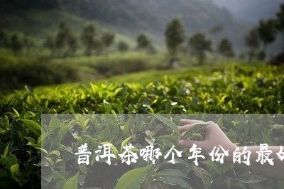 普洱茶哪个年份的最好喝/2023082516050