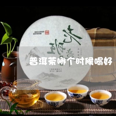 普洱茶哪个时候喝好/2023070857050