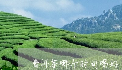 普洱茶哪个时间喝好/2023070812826