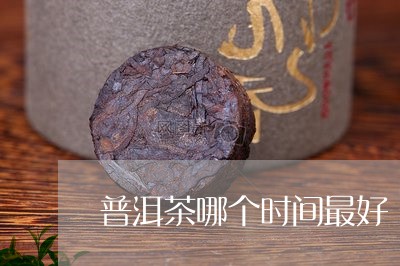 普洱茶哪个时间最好/2023091438482