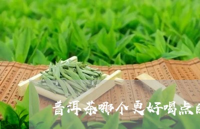 普洱茶哪个更好喝点的/2023121614635