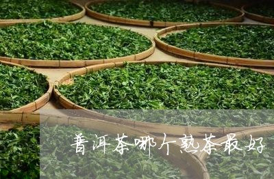 普洱茶哪个熟茶最好/2023091516259