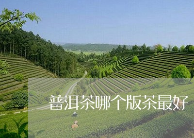 普洱茶哪个版茶最好/2023091436140