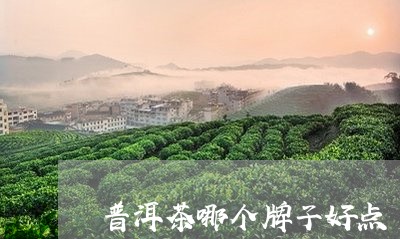 普洱茶哪个牌子好点/2023091337261