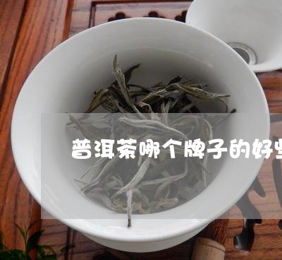 普洱茶哪个牌子的好些/2023100764371