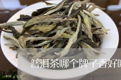 普洱茶哪个牌子香好喝还便宜/2023110669584