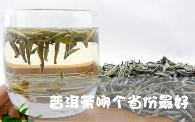 普洱茶哪个省份最好/2023091345470