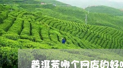 普洱茶哪个网店的好喝/2023062407240