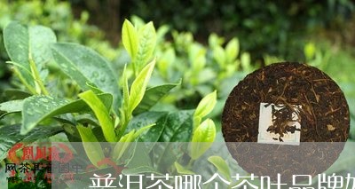 普洱茶哪个茶叶品牌好/2023080282705