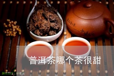 普洱茶哪个茶很甜/2023081672037