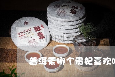 普洱茶哪个贵妃喜欢喝茶/2023121672717