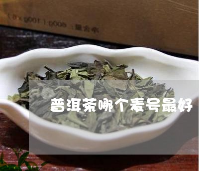 普洱茶哪个麦号最好/2023120597260