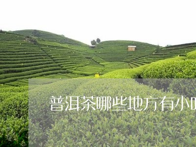 普洱茶哪些地方有小叶种/2023082594925