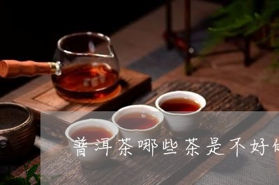 普洱茶哪些茶是不好的/2023110350603