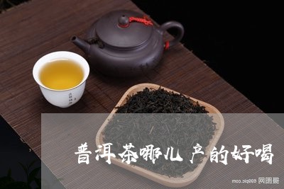 普洱茶哪儿产的好喝/2023083017149