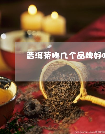 普洱茶哪几个品牌好喝一点/2023102535957