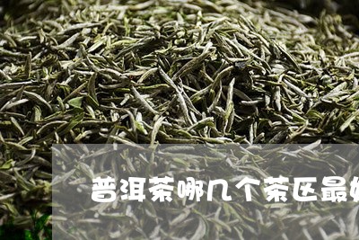 普洱茶哪几个茶区最好/2023062364037