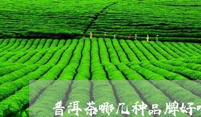 普洱茶哪几种品牌好喝/2023120714361