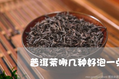 普洱茶哪几种好泡一点/2023120720692