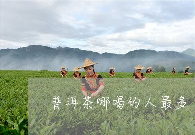 普洱茶哪喝的人最多/2023120533626