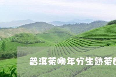 普洱茶哪年分生熟茶的好/2023102441704