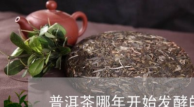 普洱茶哪年开始发酵的/2023061623827