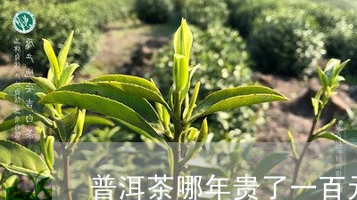 普洱茶哪年贵了一百元呢/2023081417057