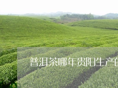 普洱茶哪年贵阳生产的比较好/2023082824936