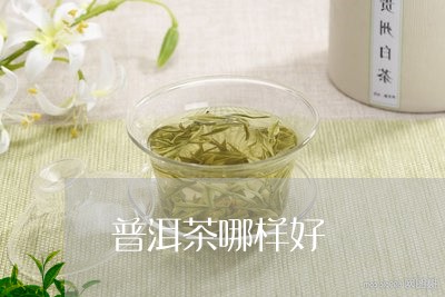 普洱茶哪样好/2023091360494