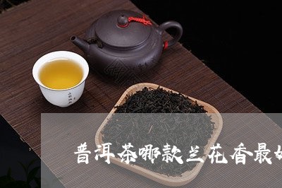 普洱茶哪款兰花香最好喝/2023110195048