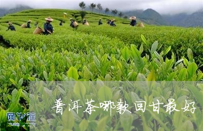 普洱茶哪款回甘最好/2023120597592