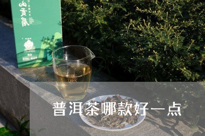 普洱茶哪款好一点/2023110664046