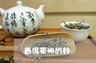 普洱茶哪的好/2023042989568