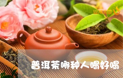 普洱茶哪种人喝好喝/2023120548360