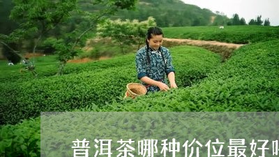 普洱茶哪种价位最好喝最贵/2023121631582