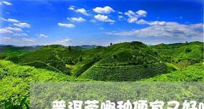 普洱茶哪种便宜又好喝还好喝/2023110641403