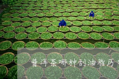 普洱茶哪种刮油脂厉害/2023100605028