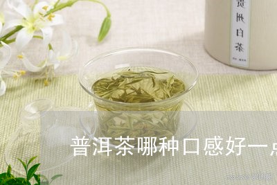 普洱茶哪种口感好一点/2023082730504