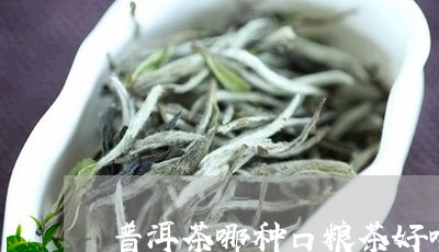 普洱茶哪种口粮茶好喝点/2023121669402