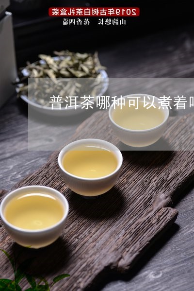 普洱茶哪种可以煮着喝吗/2023122036248