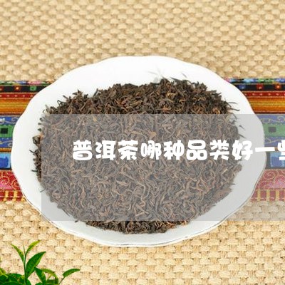 普洱茶哪种品类好一些呢/2023082740324