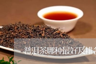 普洱茶哪种最好及排名/2023080352825