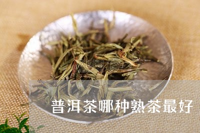 普洱茶哪种熟茶最好/2023091566379