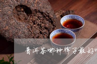 普洱茶哪种牌子最好喝/2023062572836