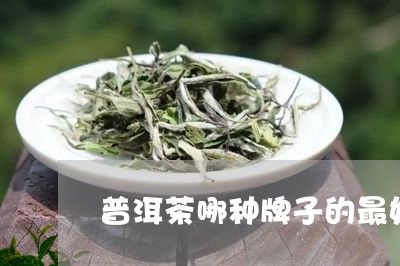 普洱茶哪种牌子的最好/2023080326259