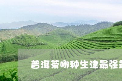 普洱茶哪种生津最强最好/2023102418494