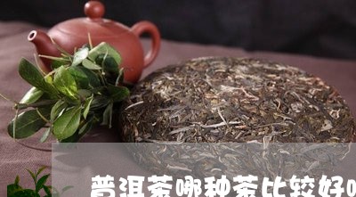 普洱茶哪种茶比较好喝/2023062283815