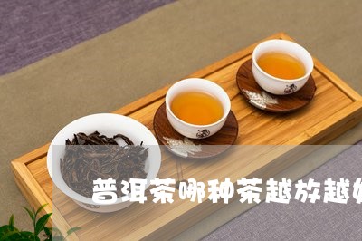 普洱茶哪种茶越放越好/2023080300594