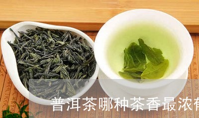 普洱茶哪种茶香最浓郁最好/2023121681705