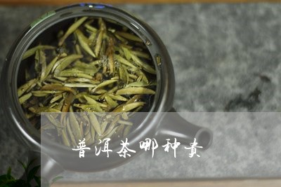 普洱茶哪种贵/2023042972541